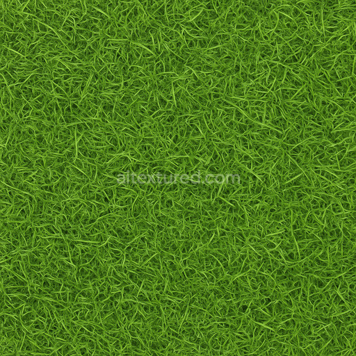 Modern Grass Seamless Texture