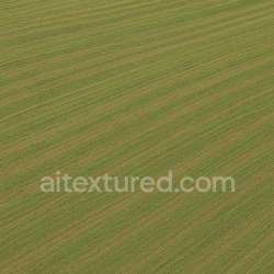 seamless Smooth Field Texture texture 1024x1024 free download PBR