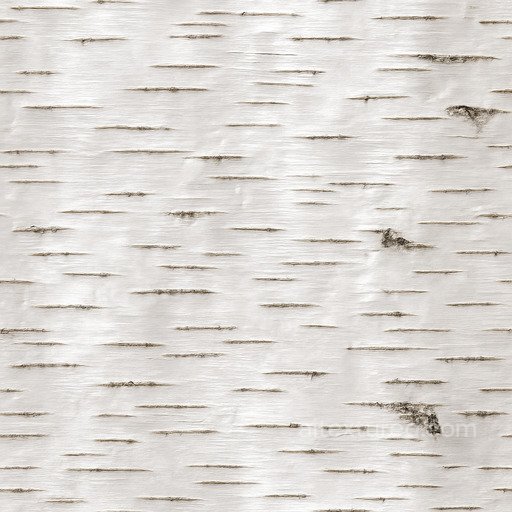 Shiny Birch Bark Seamless Texture seamless Bark PBR texture