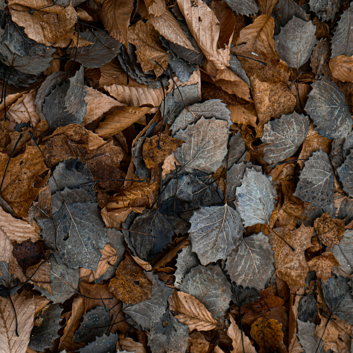 High-Detail of Dry Fallen Autumn Leaves on Ground seamless PBR texture preview