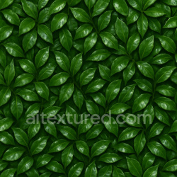 seamless Shiny Dense Foliage Texture Seamless 1024X1024 texture 1024x1024 free download PBR