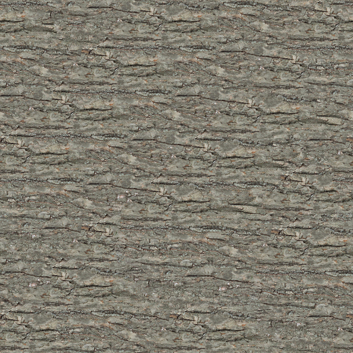 Bark 7 by Share Textures seamless PBR texture preview