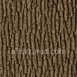 seamless Patterned Oak Bark Texture Seamless texture 8k free download PBR