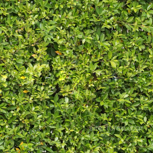 High Quality Seamless Hedge Texture seamless Ground surface PBR texture