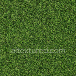 seamless Rough Green Lawn Texture texture 1024x1024 free download PBR