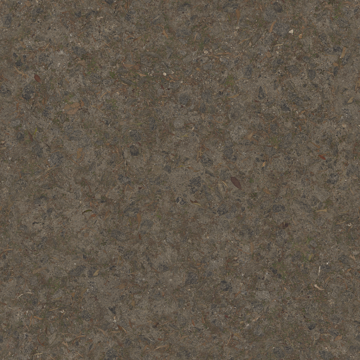 Rocky Grass Path - Grass Path Pathway Pathway Exterior Dirt seamless PBR texture preview
