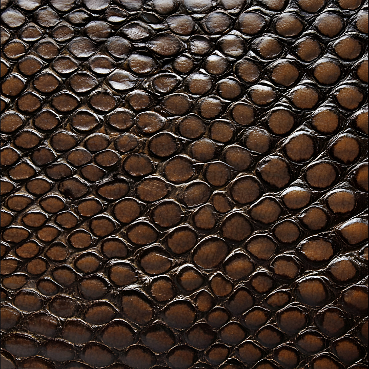 Reptile Skin Featuring Glossy Dark Brown Scales seamless PBR texture preview