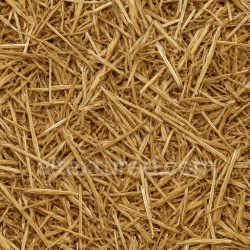 seamless Photorealistic Straw Seamless Texture texture 1024x1024 free download PBR