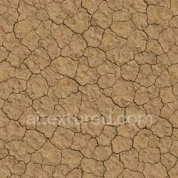 seamless Dry Field Texture texture 8k free download PBR