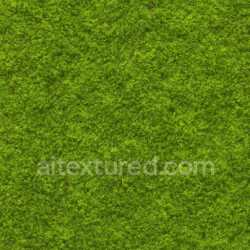 seamless Natural Green Moss Texture Seamless texture 8k free download PBR