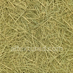 seamless Fresh Hay Seamless Texture texture 1024x1024 free download PBR