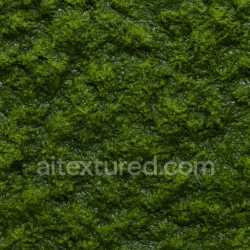 seamless Detailed Wet Moss Texture Seamless texture 8k free download PBR