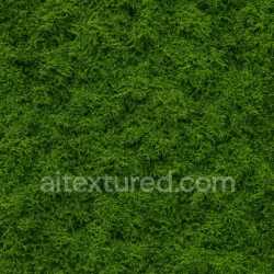 seamless High Resolution Forest Moss Texture Seamless texture 8k free download PBR