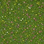 Free textures Grass free download