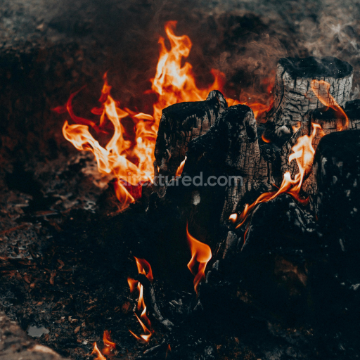 High-Resolution Charred Wood Texture with Burnt Surface