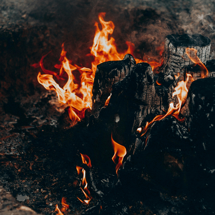 Charred Wood with Burnt Surface seamless PBR texture preview