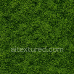 seamless High Resolution Forest Moss Texture Seamless 1024X1024 texture 1024x1024 free download PBR