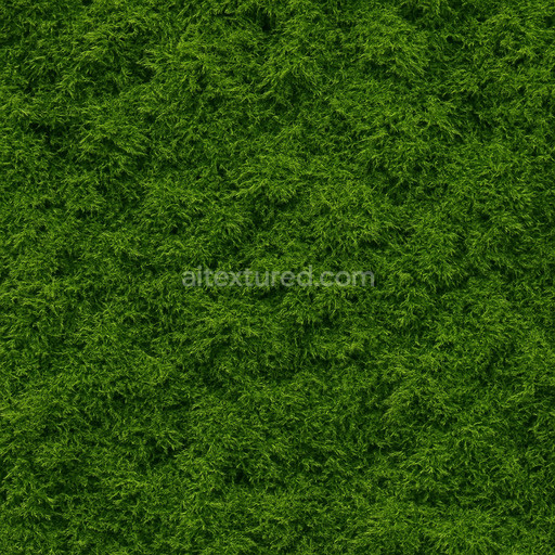 High Resolution Forest Moss Texture Seamless 1024X1024