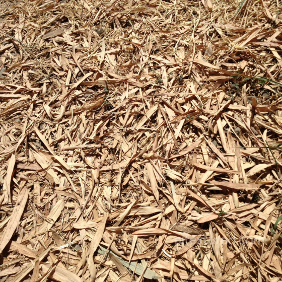 Natural Ground Mulch PBR Texture 4K Ground surface texture preview