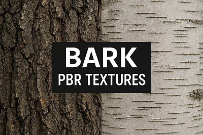 Bark Seamless PBR Textures – Free Download for 3D Projects