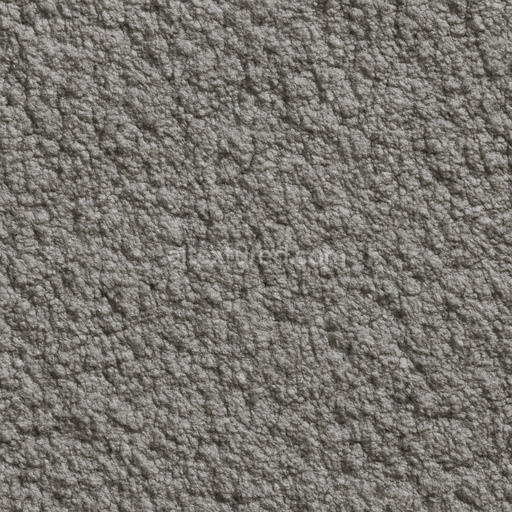 Rough Foam Seamless Texture