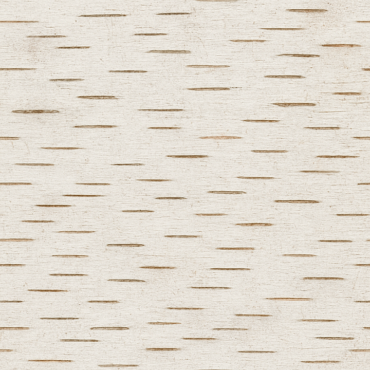 Fine Birch Bark seamless PBR texture preview