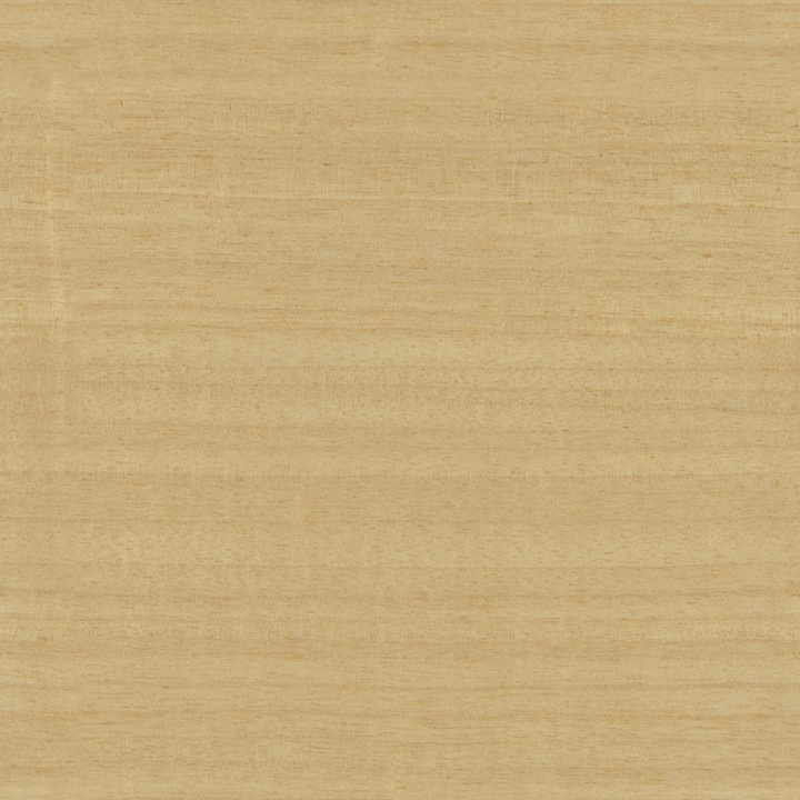 Anigre by Share Textures Wood seamless PBR texture preview