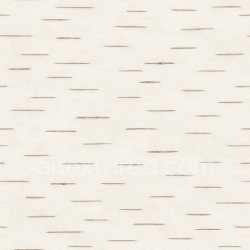 seamless Clean Birch Bark Texture Seamless texture 8k free download PBR
