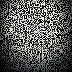 seamless Seamless 3D PBR Exotic Reptilian Skin Texture with Detailed Scale Pattern texture 8k free download PBR
