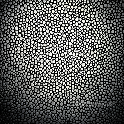 Exotic Reptilian Skin Texture with Detailed Scale Pattern seamless Skin PBR texture