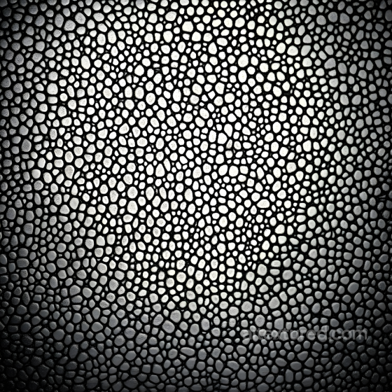 Exotic Reptilian Skin Texture with Detailed Scale Pattern Skin texture preview