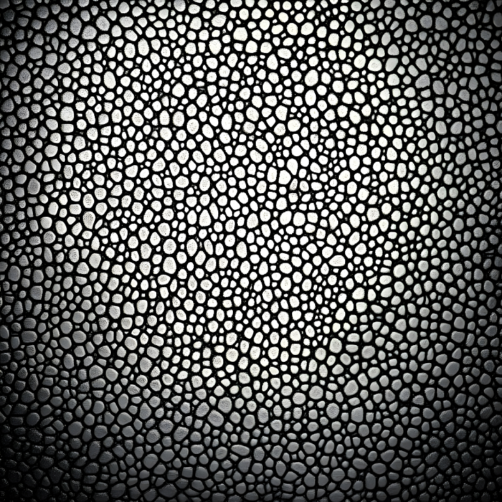 Exotic Reptilian Skin with Detailed Scale Pattern seamless PBR texture preview