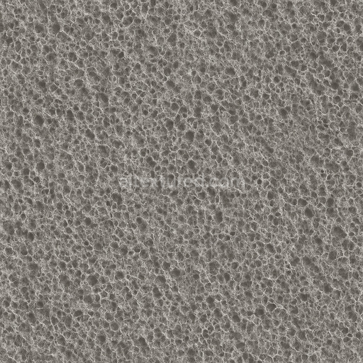 Coarse Foam Seamless Texture