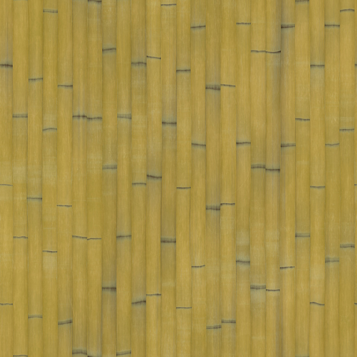 Bamboo 001 B by Textures Wood seamless PBR texture preview