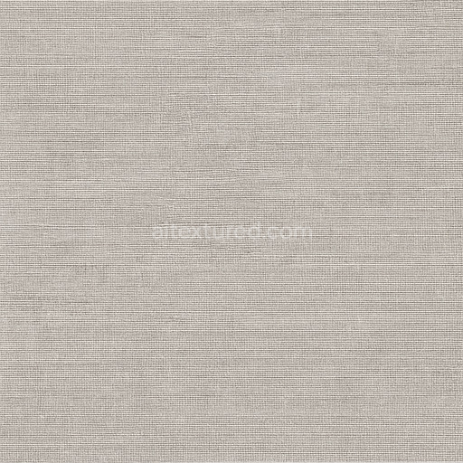 Fine Fabric Seamless Texture