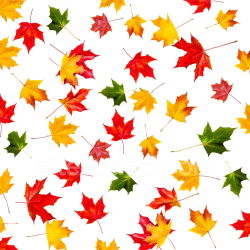 seamless Seamless 3D PBR Texture Featuring Colorful Autumn Maple Leaves on White Background texture 8k free download PBR