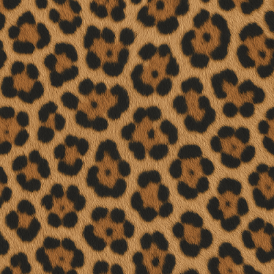 Expert Guide to Leopard Print Seamless PBR Textures for 3D Materials