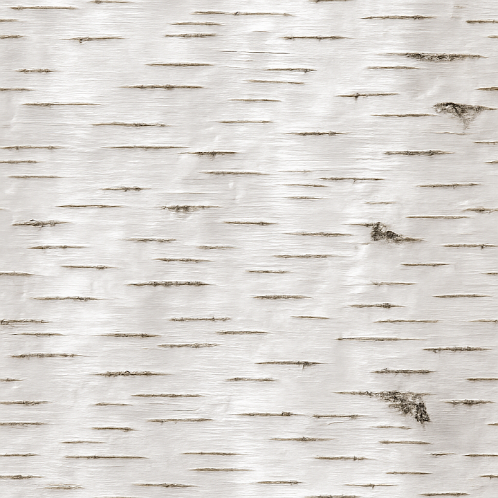Shiny Birch Bark seamless PBR texture preview