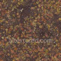 seamless Ground Earth Nature Leafy Forest Organic Seasonal Colorful Soil Realistic texture 8k free download PBR