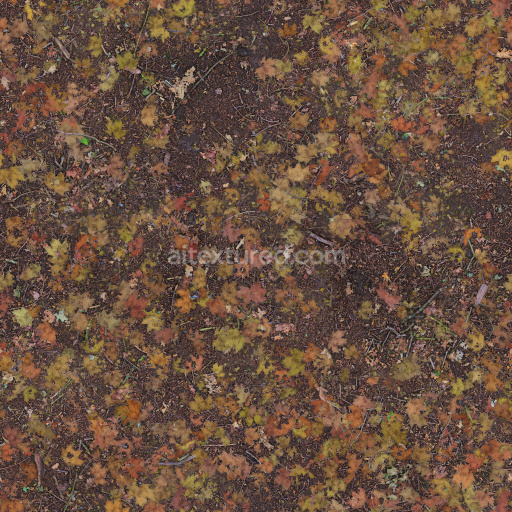 Ground Earth Nature Leafy Forest Organic Seasonal Colorful Soil Realistic