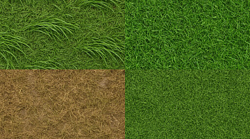 Grass category preview