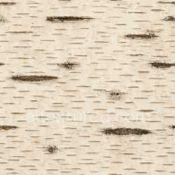 seamless Decorative Birch Bark Texture Seamless texture 8k free download PBR