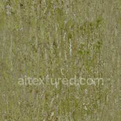 seamless Bark Wood Rough Natural Organic Texture Seamless Tileable Mossy Weathered texture 8k free download PBR