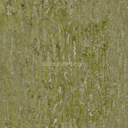 Bark Wood Rough Natural Organic Texture Seamless Tileable Mossy Weathered