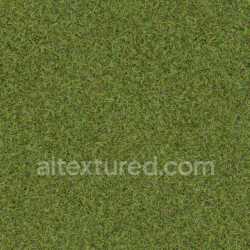 seamless Grass Green Seamless Pbr Texture Natural Organic Lawn Environment Outdoor texture 8k free download PBR