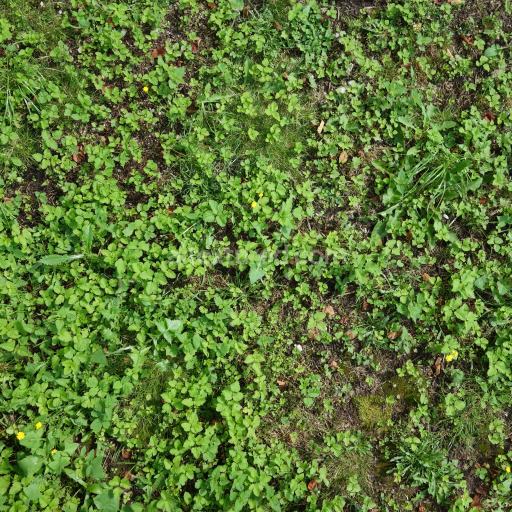 Preview — High-Resolution PBR Ground Texture with Green Weeds and Soil