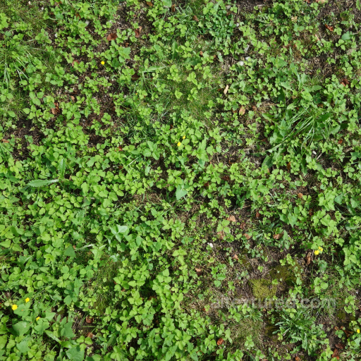 PBR Ground Texture with Green Weeds and Soil seamless Ground surface PBR texture