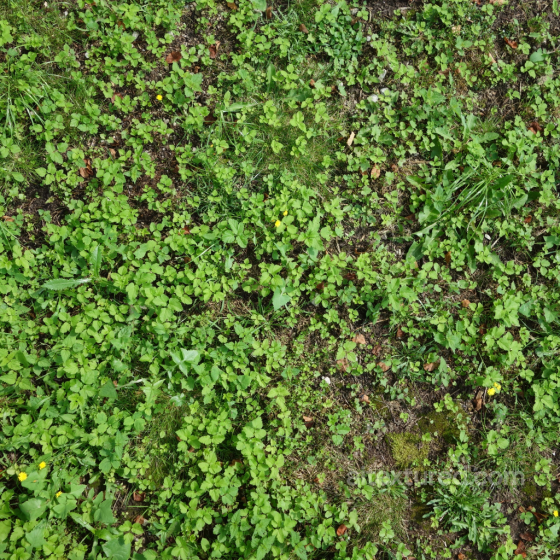 PBR Ground Texture with Green Weeds and Soil Ground surface texture preview