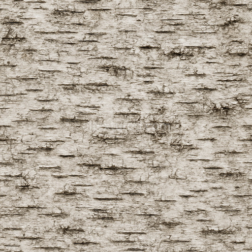 Weathered Birch Bark Texture Seamless 1024X1024