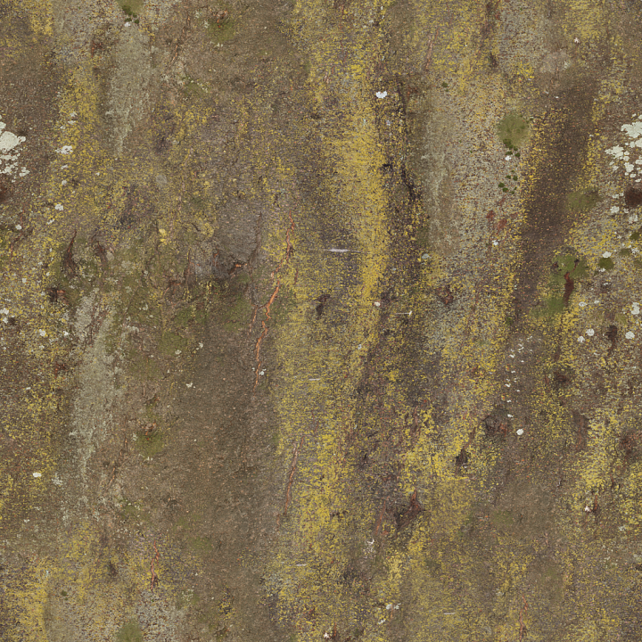 Japanese Hackberry Bark - Tree Bark Bark Forest Natural seamless PBR texture preview